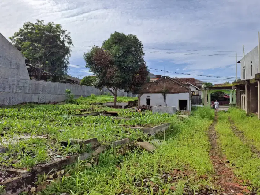 Tanah Siap Bangun Gunung Terang Bandar Lampung