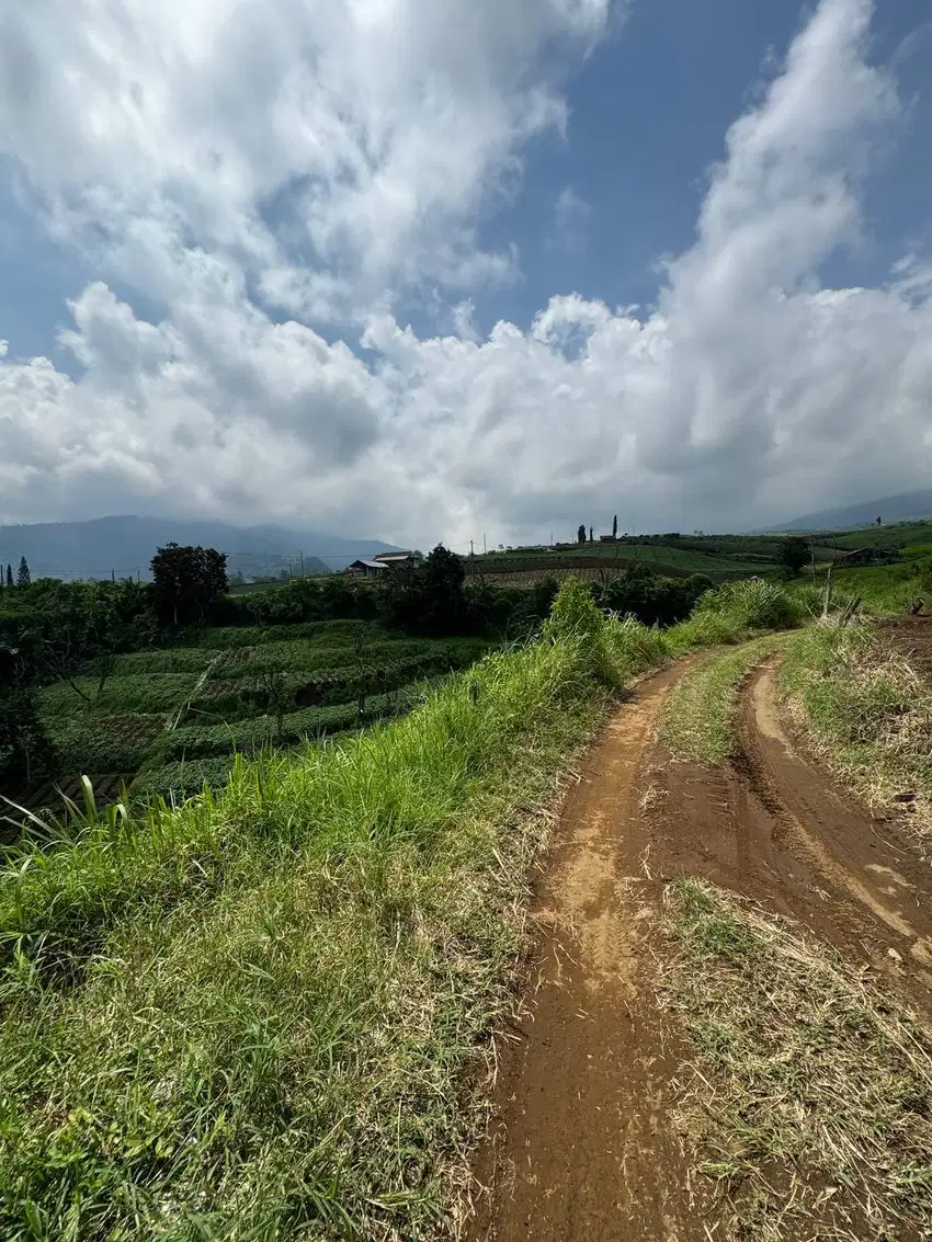 Tanah Perkebunan Apel Murah kota Batu