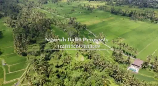 Land For Sale Murah Luas 9500 M2 Pemandangan Sawah, Sungai dan Gunung