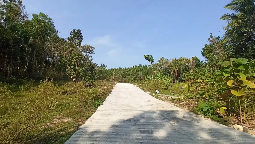 Tanah Jogja lokasi 5 menit Stadion Cangkring