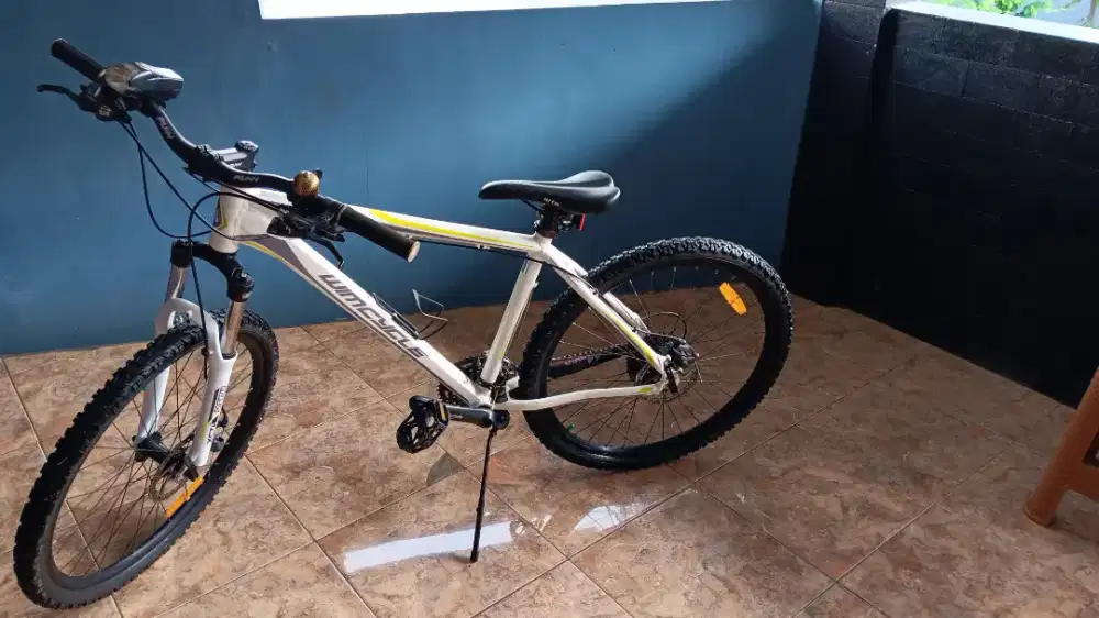 Sepeda Wimcycle Hotrod 1.0