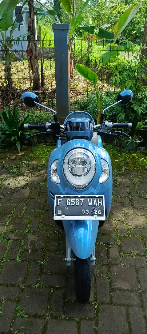 Scoopy prestige