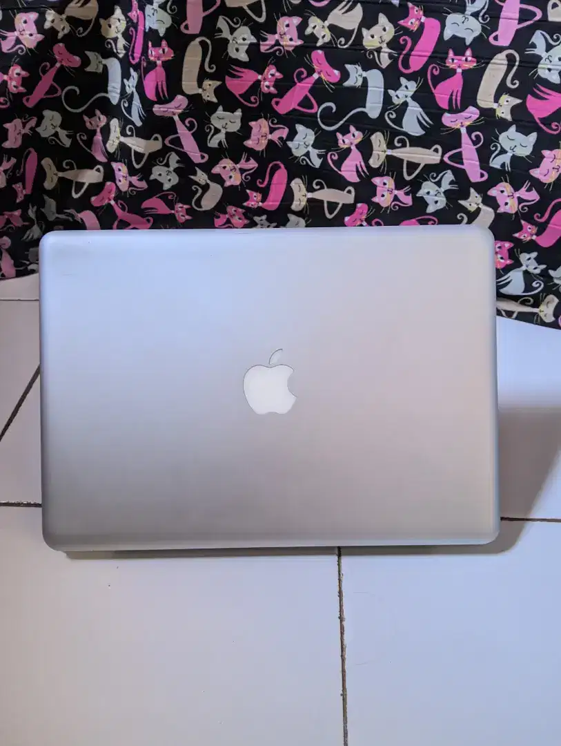 macbook pro (13 inch,late 2011) 8Gb