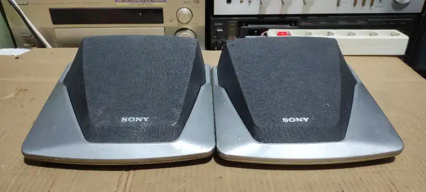 Speaker surround Sony