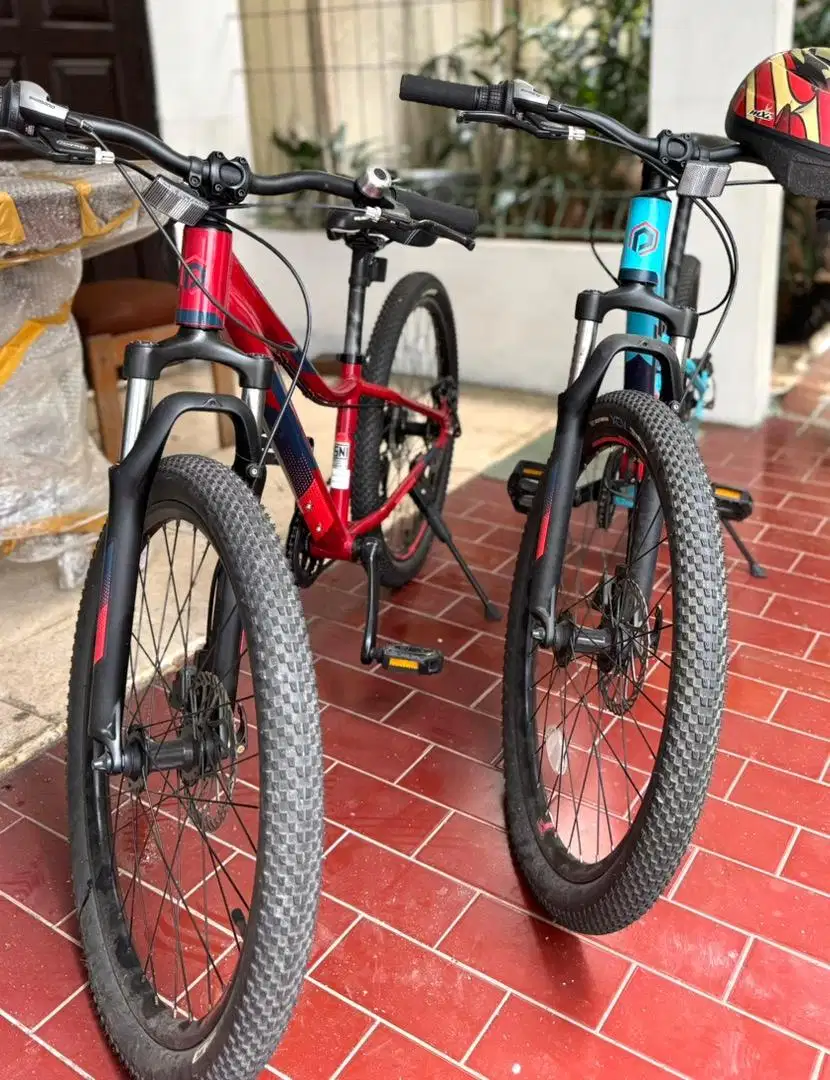Polygon Relic 24- Junior Bike