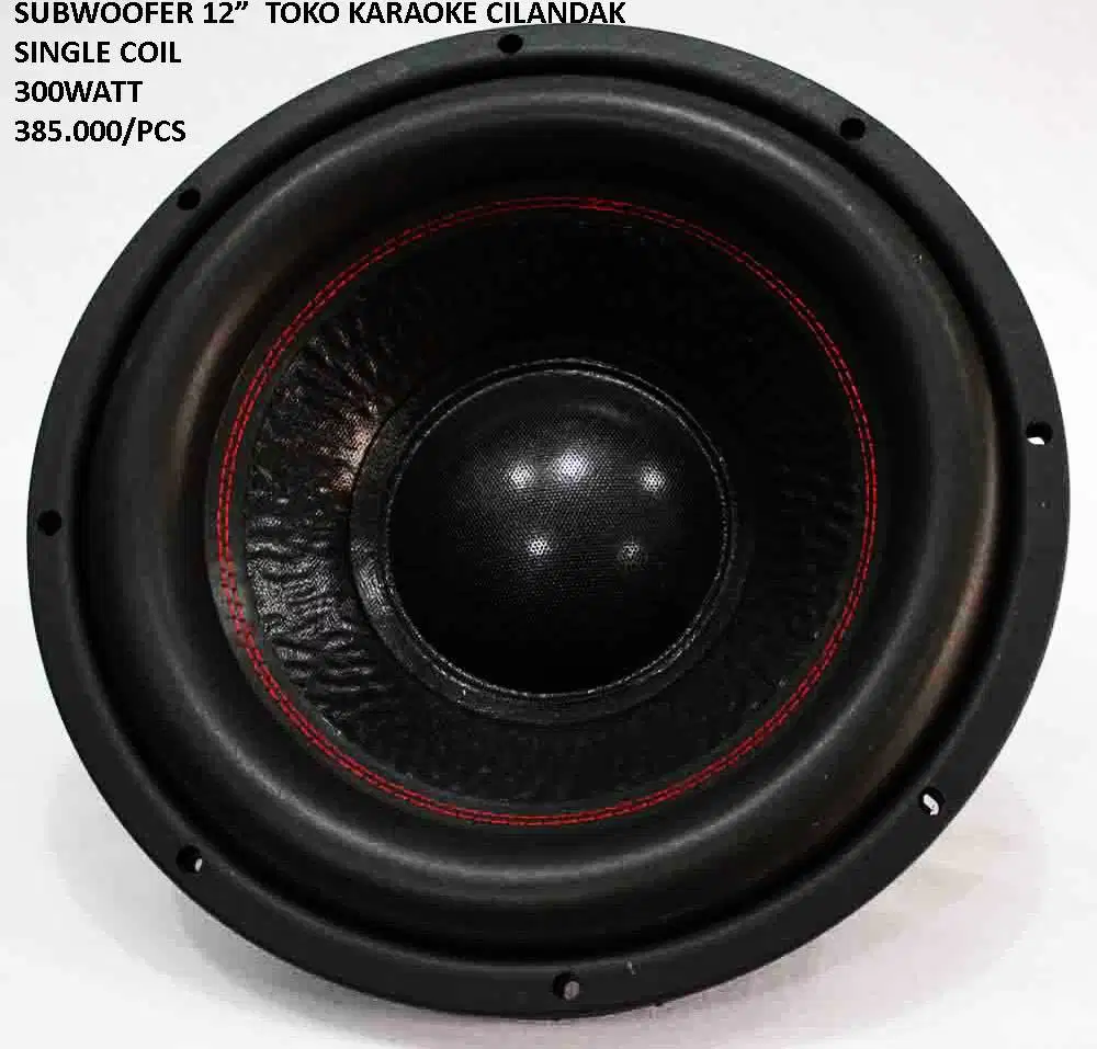 subwoofer driver 12 magnet besar
