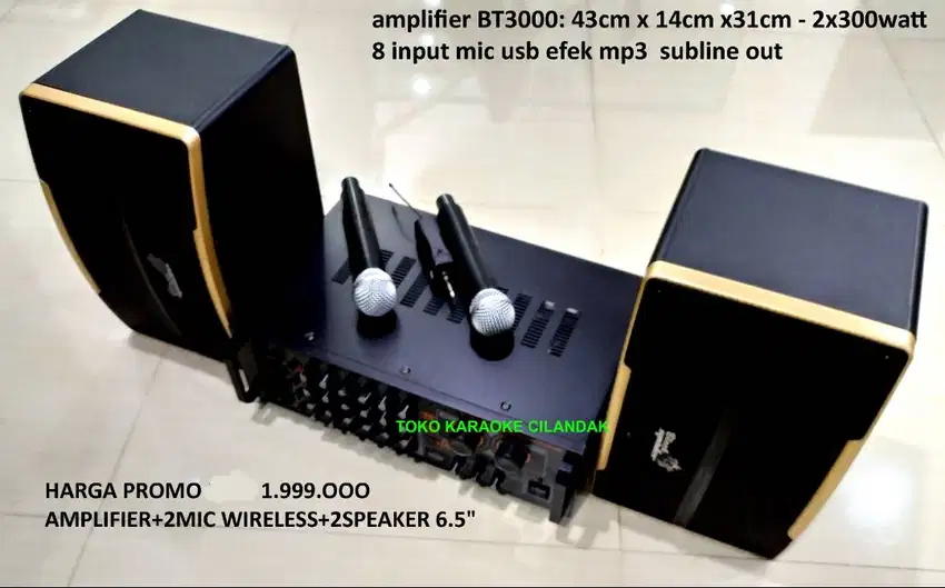 paket sound system karaoke 6,5in