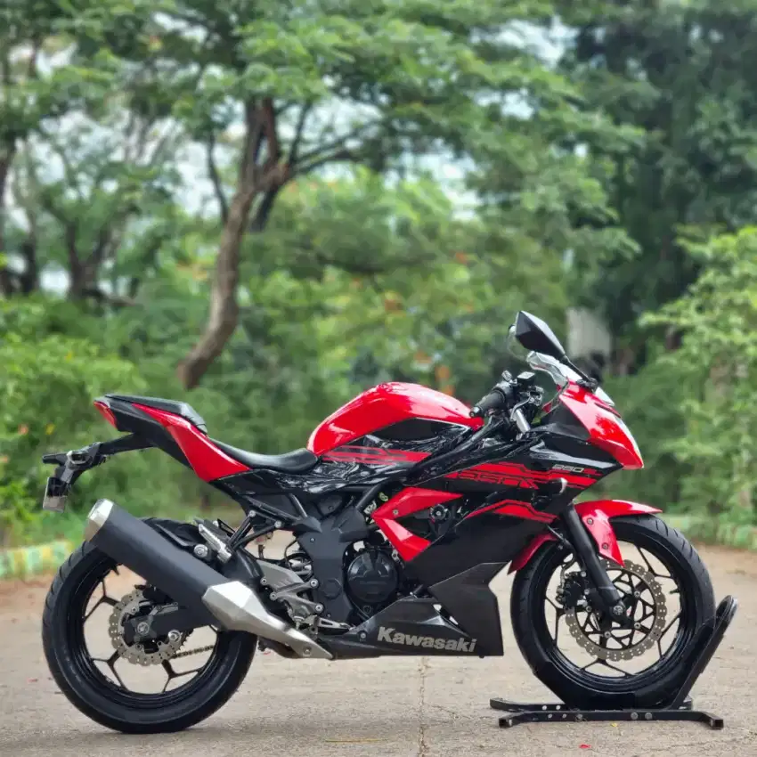 KAWASAKI NINJA 250 MONO SL 2017 KM LOW SUPERB PAJAK PANJANG