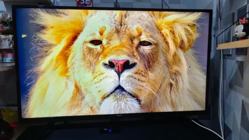 Tv philps dan stb android