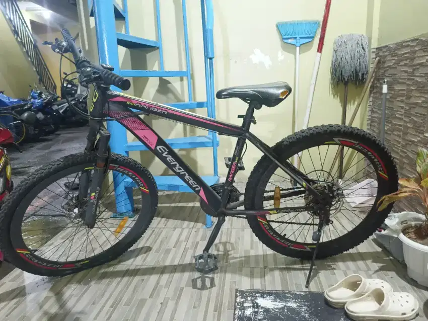 MTB Evergreen 26