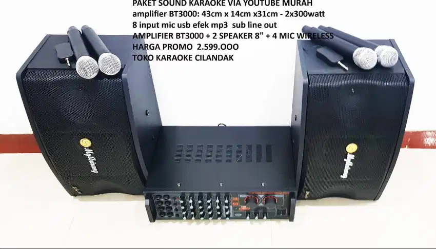 paket sound system karaoke 8in mic 4