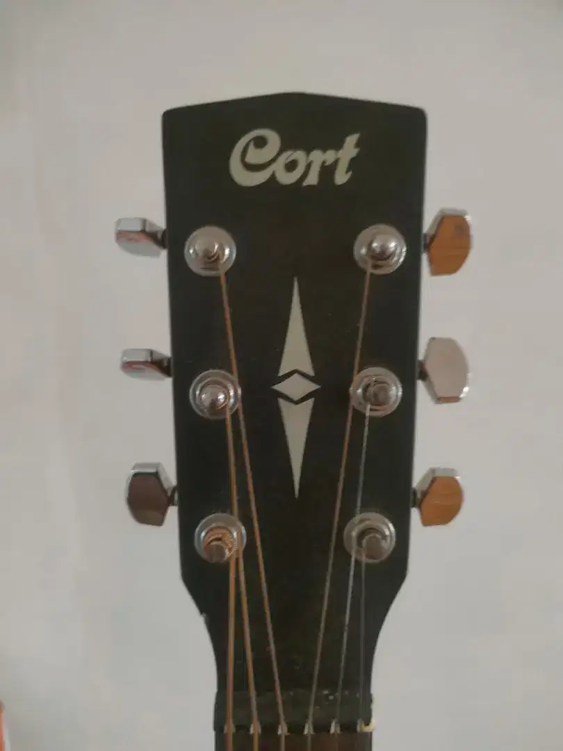 Gitar Akustik Cort SFX-ME OP