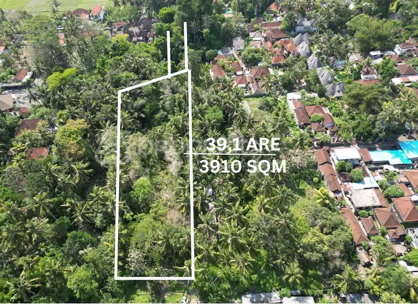 Unlock Potential 3910 sqm Leasehold Land in Lodtunduh BSLL186