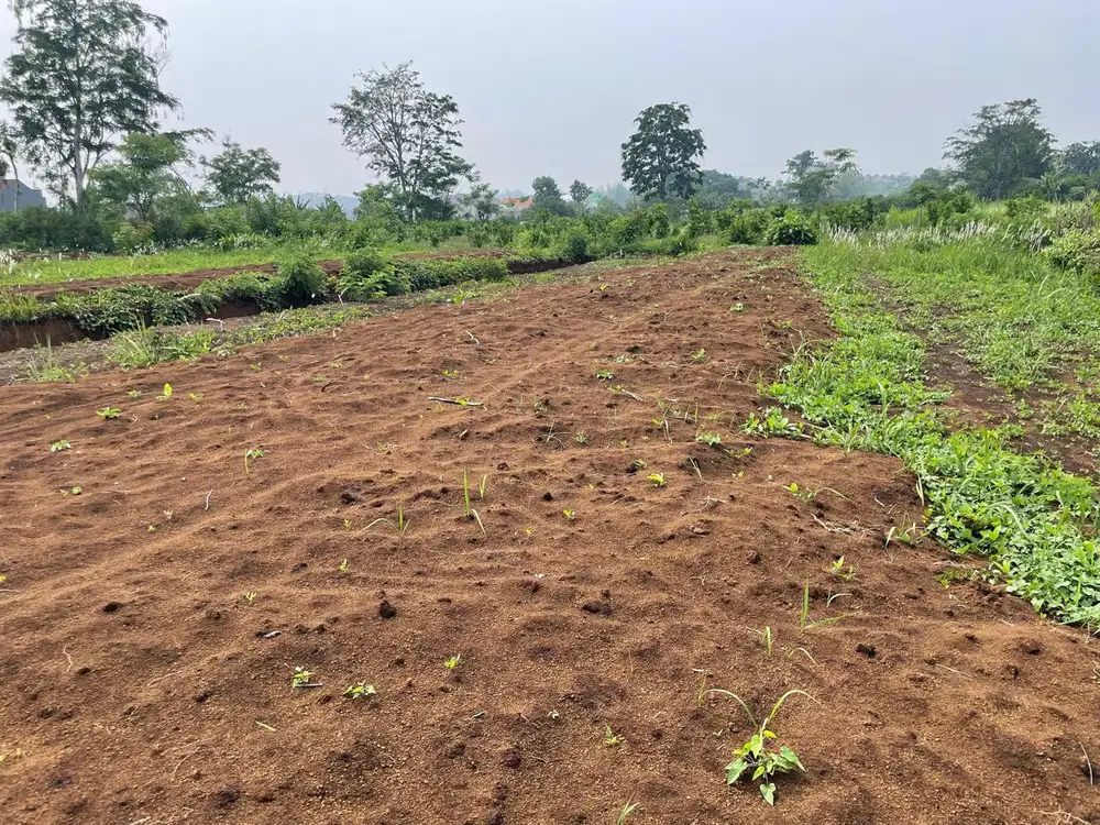 Nyaman & Asri Di Baleasri Dau  Harga paling Murah