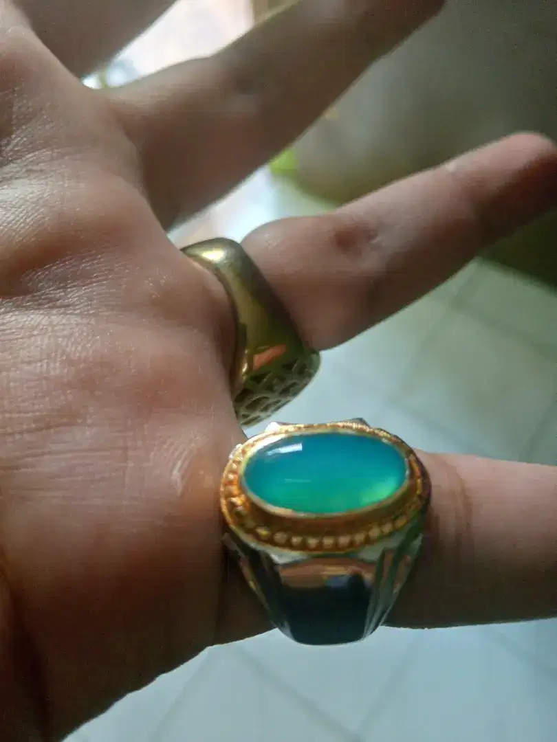 bacan Doko majiko giwang