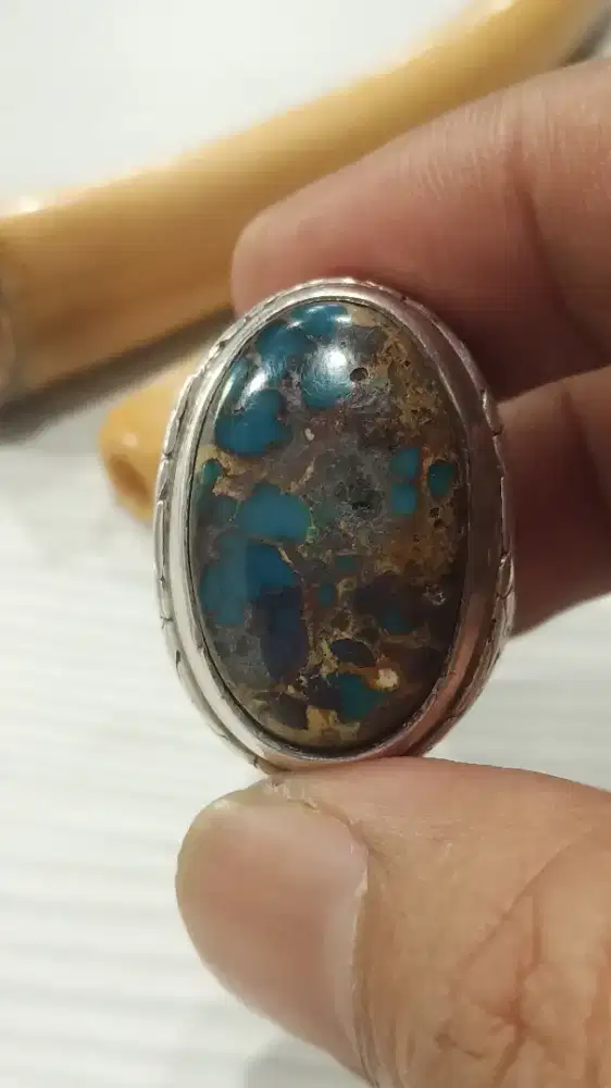 Pirus persia urat emas lawas