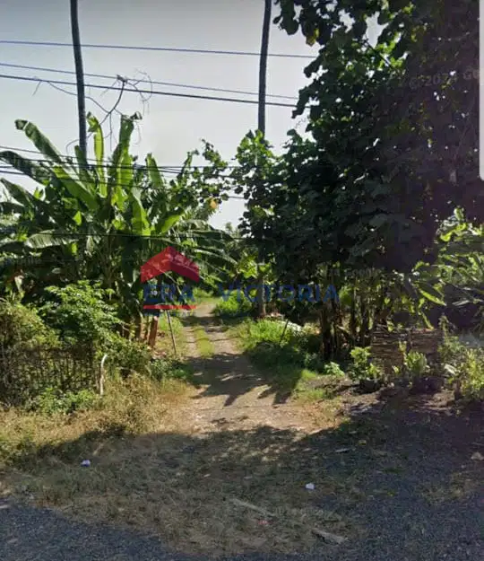 DIJUAL Tanah cocok untuk usaha tambak, posisi di pesisir pantai