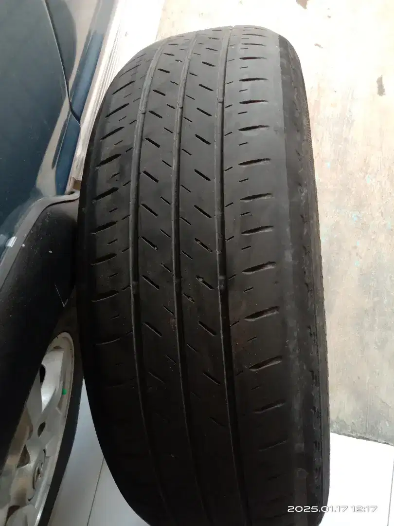 Ban Bridgestone Ecopia R16