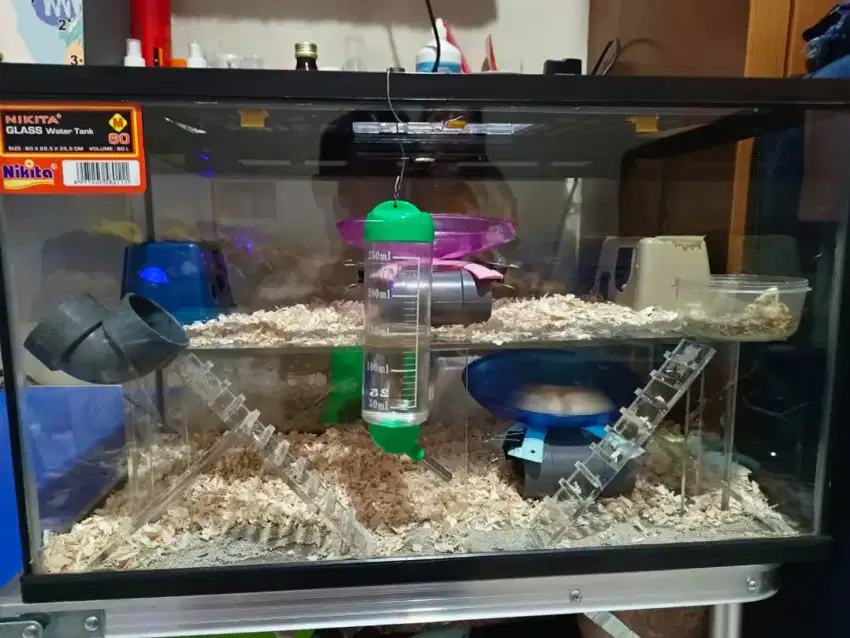 Kandang Hamster