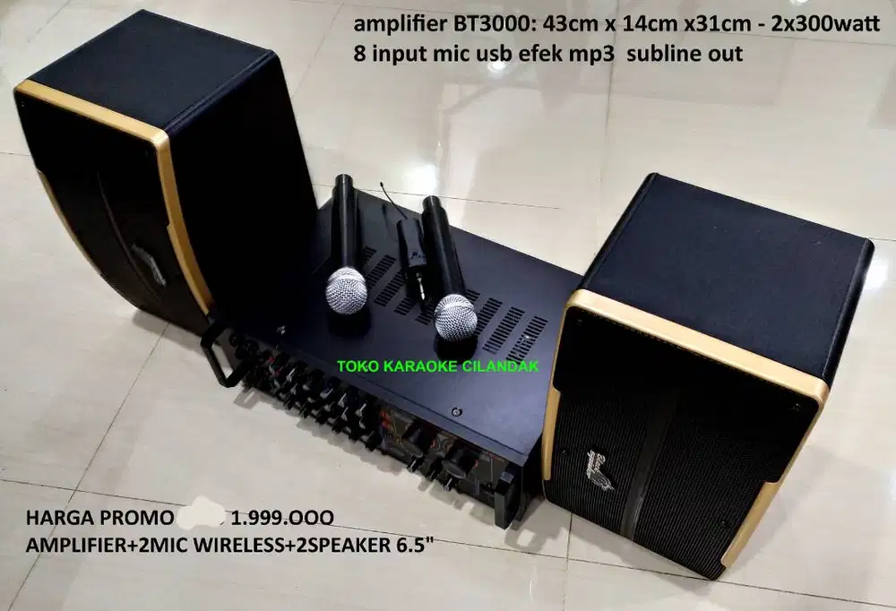 AMPLIFIER BT3000+2MIC WIRELESS+2SPEAKER 6.5