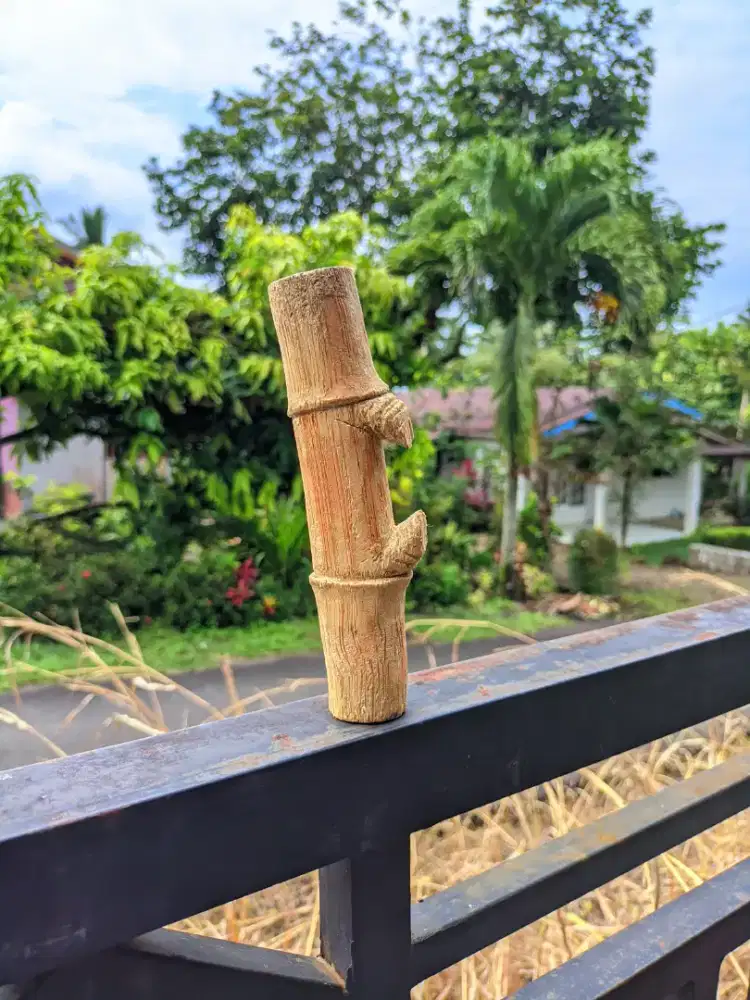 BARANG ASLI PEDALAMAN HUTAN JAMBI