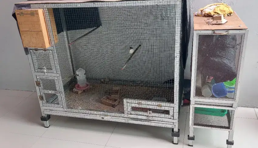 Kandang Ternak Murai