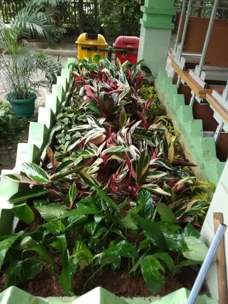 Jasa Pemasangan Taman minimalis