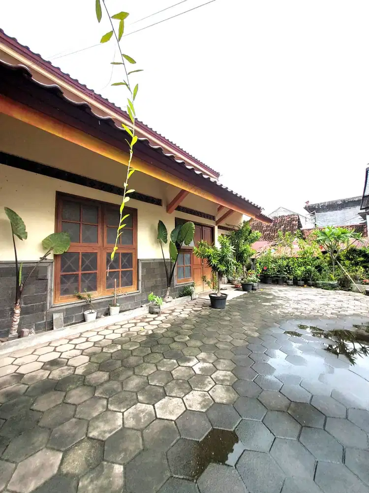 Rumah Asri dan Adem di Bintaran dekat Malioboro