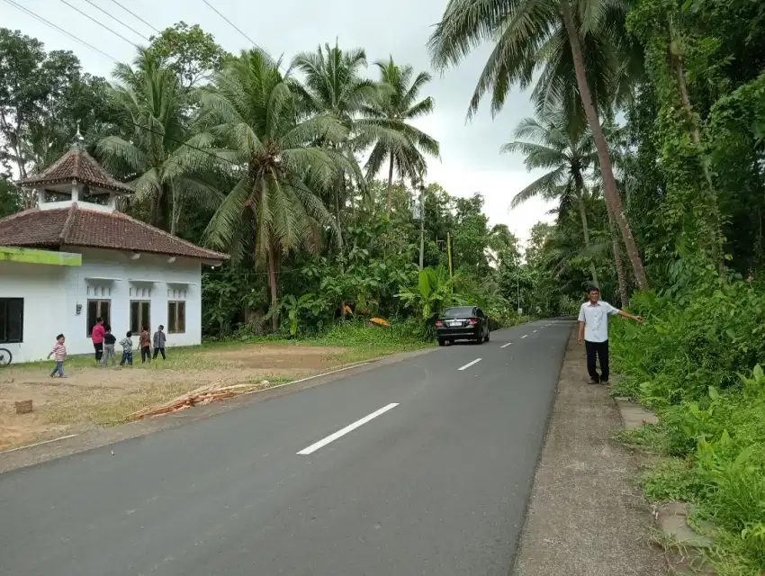 Tanah murah dekat Masjid 0,5 hektar lebih jual murah
