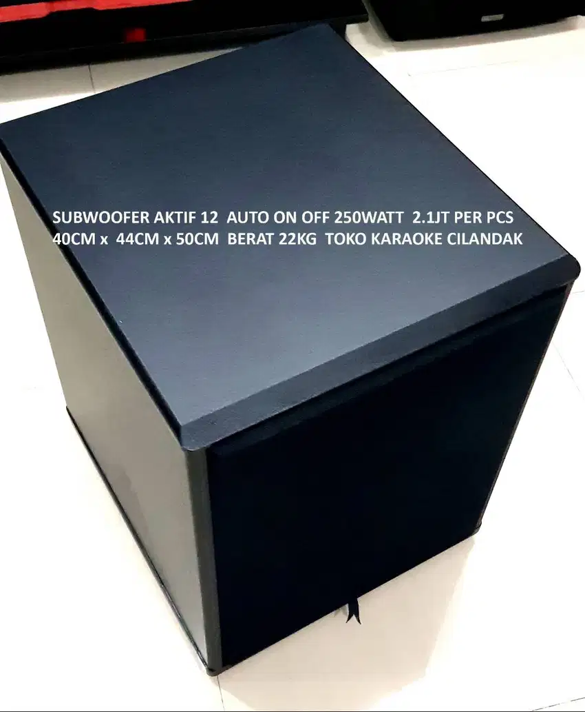 SUBWOOFER AKTIF 12 AUTO ON OFF 250WATT   SUB BASS  pada system karaoke