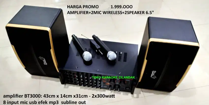 AMPLIFIER BT3000+2MIC WIRELESS+2SPEAKER 6.5