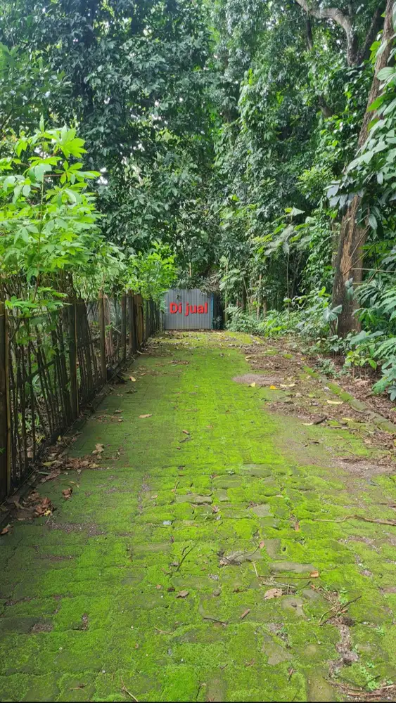 Jual Cepat, Nego Sampe Deal