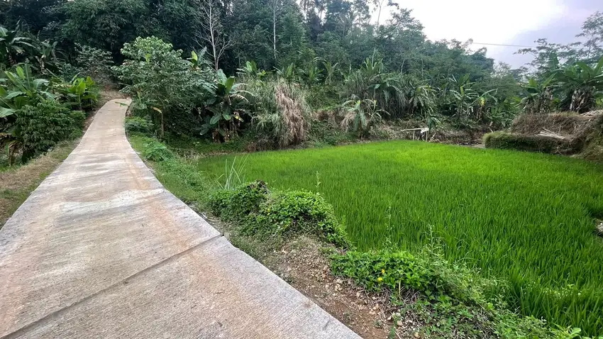 Dijual Murah Tanah Darat dan Sawah Akses Mobil di Bojong Purwakarta