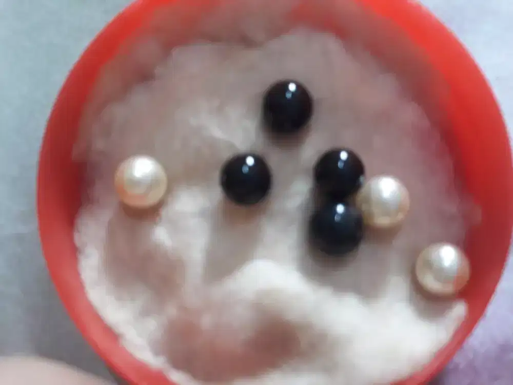 Mutiara hitam  Lombok, asli. 500k, no nego. COD.