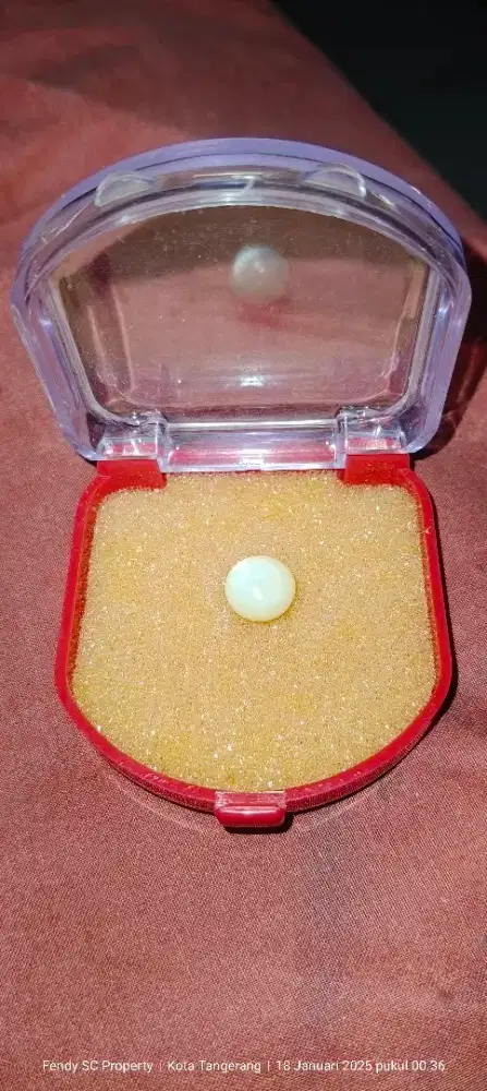 Mutiara laut belitung