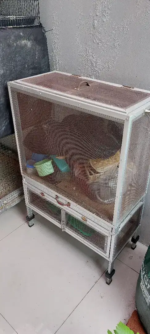 KANDANG Jangkrik & Ulat