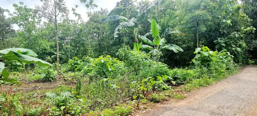 TANAH DIJUAL - PENDOSAWALAN KALINYAMATAN