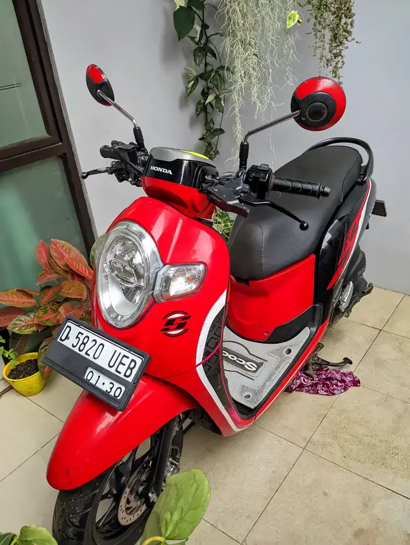 Honda scoopy pajak panjang