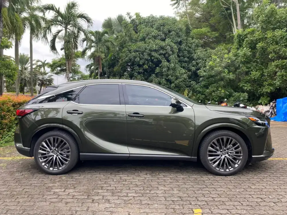 Lexus RX 450h+ hijau 2023
