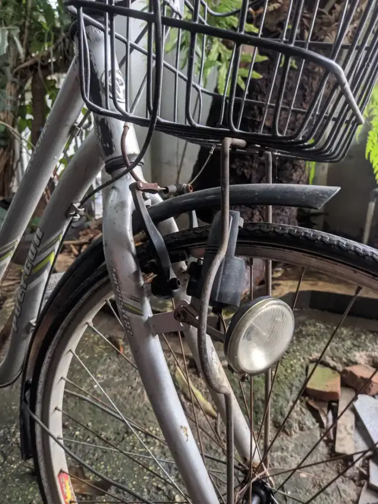 Sepeda Polygon jadul udh ada operan + sepeda anak cewek