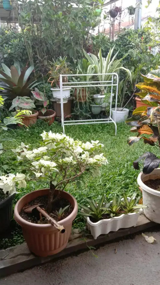 Cari lowongan pekerjaan