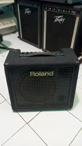 ROLAND KC 100 USA