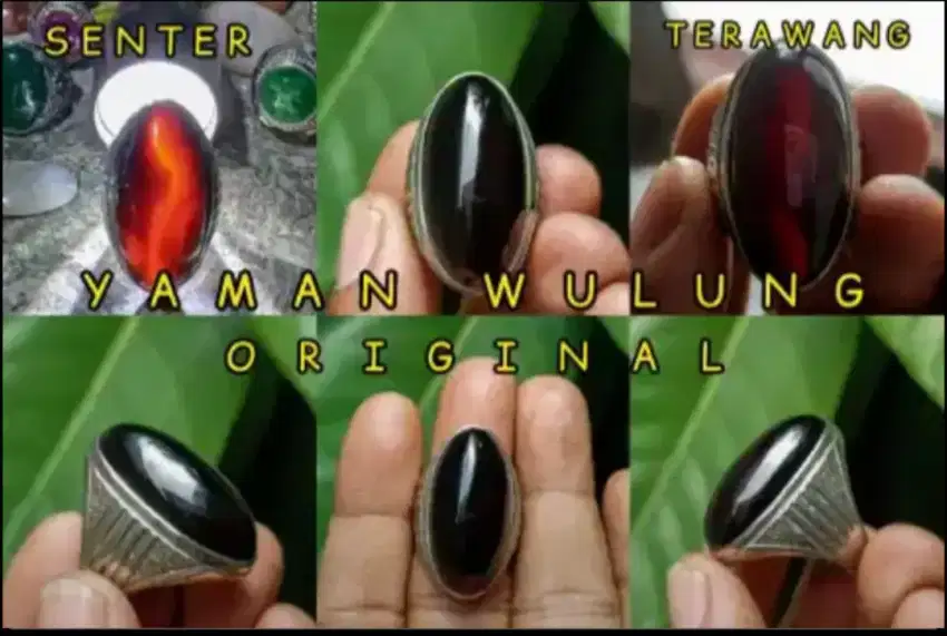 ASLI YAMAN WULUNG SERAT AGER 3cm Ring 8 COD NEROKTOG