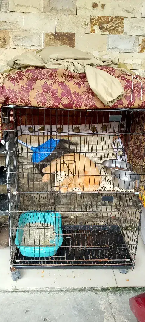 Kandang kucing 3 tingkat