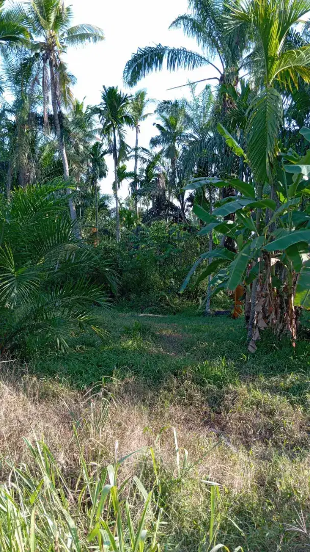 Dijual Tanah Perumahan