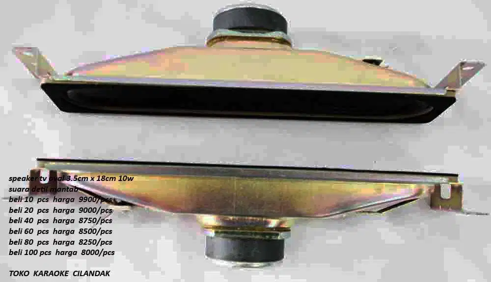 SPEAKER 10 INCHI  harga sepasang 1.2JUTA