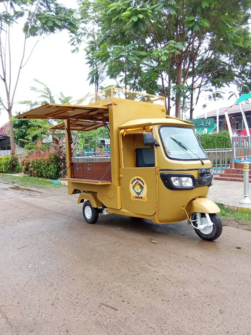 Custom Tvs Mini Food Truck