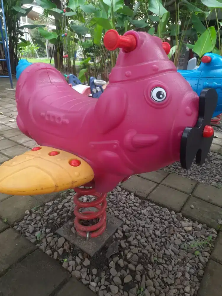 Spring Rider Outdoor model Airplane