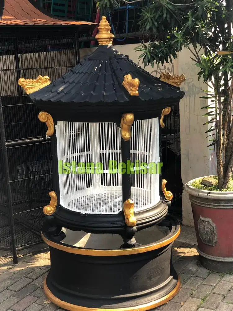 Kandang beton burung atau ayam berkualitas tahan lama