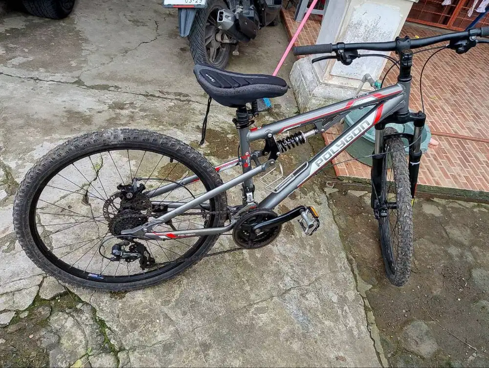 Sepeda Polygon RAYZ ONE